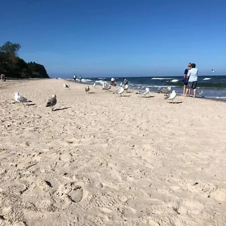 Schoenes Fuer 7 Personen Und 1 Kind